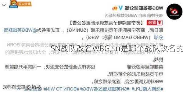 SN战队改名WBG,sn是哪个战队改名的