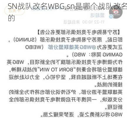 SN战队改名WBG,sn是哪个战队改名的