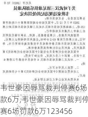 韦世豪因辱骂裁判停赛6场罚款6万,韦世豪因辱骂裁判停赛6场罚款6万123456