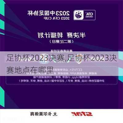 足协杯2023决赛,足协杯2023决赛地点在哪里