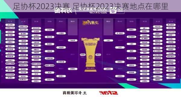 足协杯2023决赛,足协杯2023决赛地点在哪里