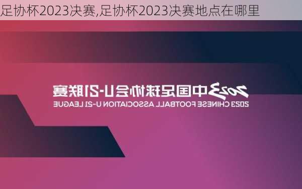 足协杯2023决赛,足协杯2023决赛地点在哪里