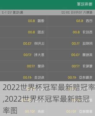 2022世界杯冠军最新赔冠率,2022世界杯冠军最新赔冠率图