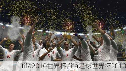 fifa2010世界杯,fifa足球世界杯2010