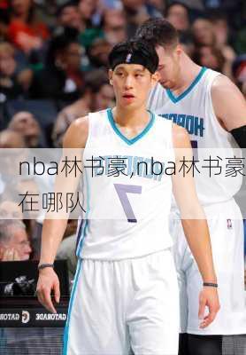 nba林书豪,nba林书豪在哪队