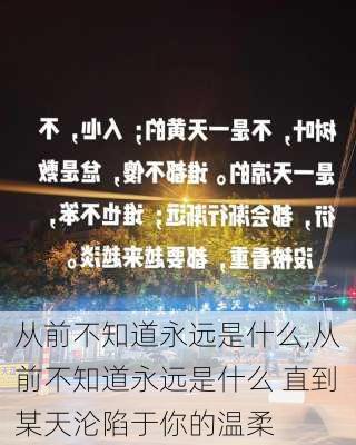 从前不知道永远是什么,从前不知道永远是什么 直到某天沦陷于你的温柔