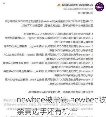 newbee被禁赛,newbee被禁赛选手还有机会