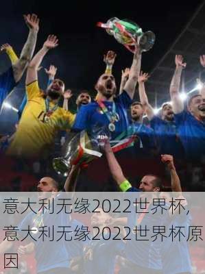 意大利无缘2022世界杯,意大利无缘2022世界杯原因