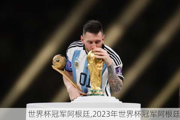 世界杯冠军阿根廷,2023年世界杯冠军阿根廷