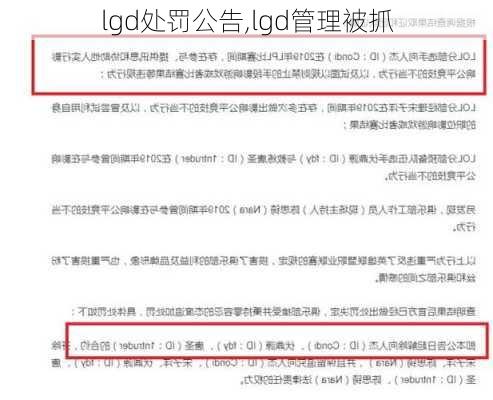 lgd处罚公告,lgd管理被抓