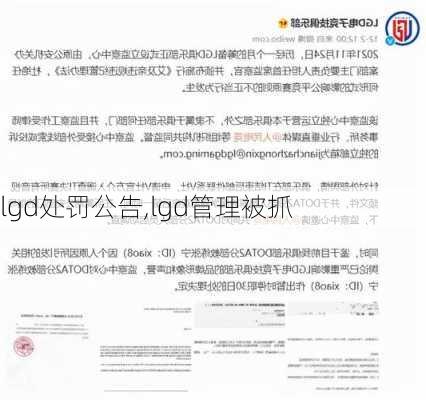 lgd处罚公告,lgd管理被抓