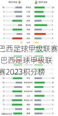 巴西足球甲级联赛,巴西足球甲级联赛2023积分榜