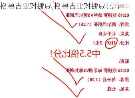 格鲁吉亚对挪威,格鲁吉亚对挪威比分