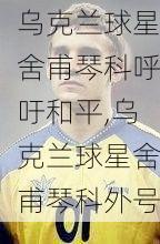 乌克兰球星舍甫琴科呼吁和平,乌克兰球星舍甫琴科外号