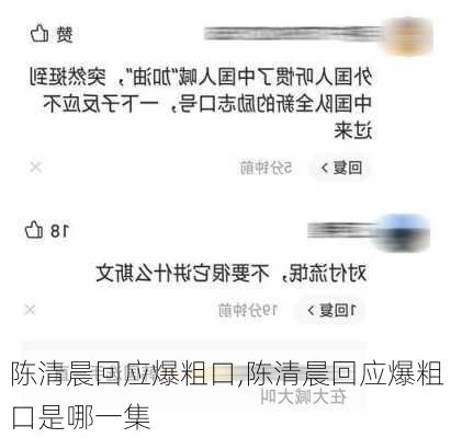 陈清晨回应爆粗口,陈清晨回应爆粗口是哪一集