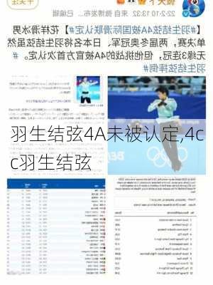 羽生结弦4A未被认定,4cc羽生结弦