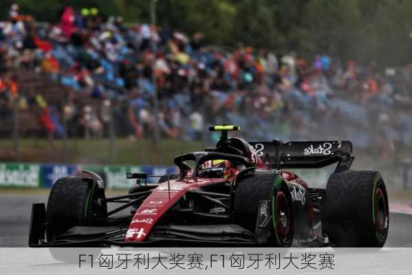 F1匈牙利大奖赛,F1匈牙利大奖赛