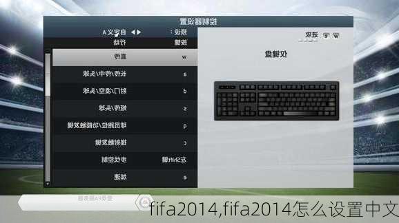 fifa2014,fifa2014怎么设置中文