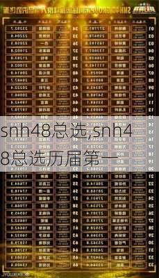 snh48总选,snh48总选历届第一