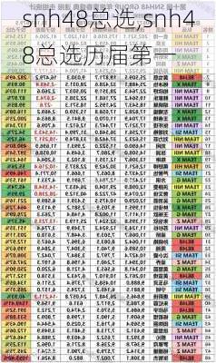 snh48总选,snh48总选历届第一