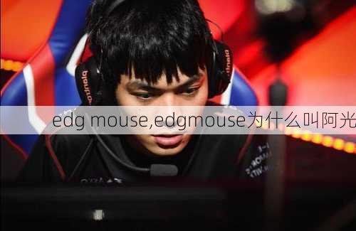 edg mouse,edgmouse为什么叫阿光